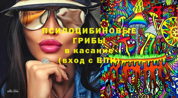 ГАЛЛЮЦИНОГЕННЫЕ ГРИБЫ Нефтекумск