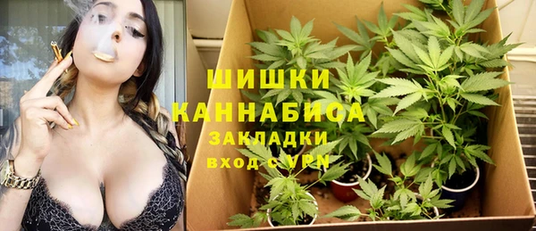 ГАЛЛЮЦИНОГЕННЫЕ ГРИБЫ Нефтекумск