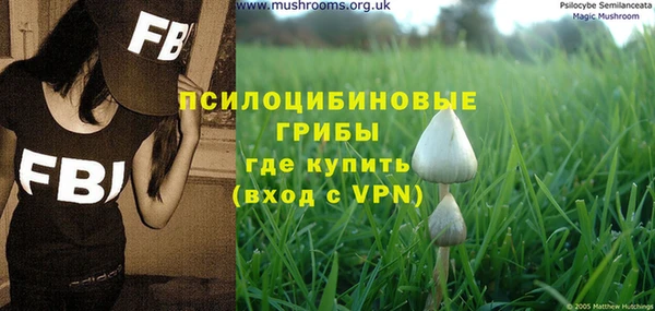 ГАЛЛЮЦИНОГЕННЫЕ ГРИБЫ Нефтекумск