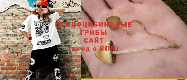 ГАЛЛЮЦИНОГЕННЫЕ ГРИБЫ Нефтекумск