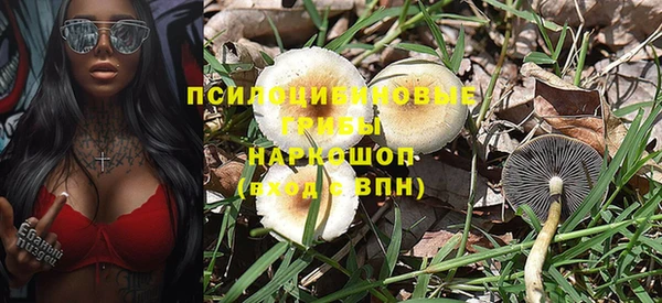 ГАЛЛЮЦИНОГЕННЫЕ ГРИБЫ Нефтекумск