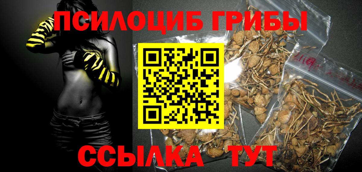 Галлюциногенные грибы Psilocybe  Вход с VPN  Кириши 