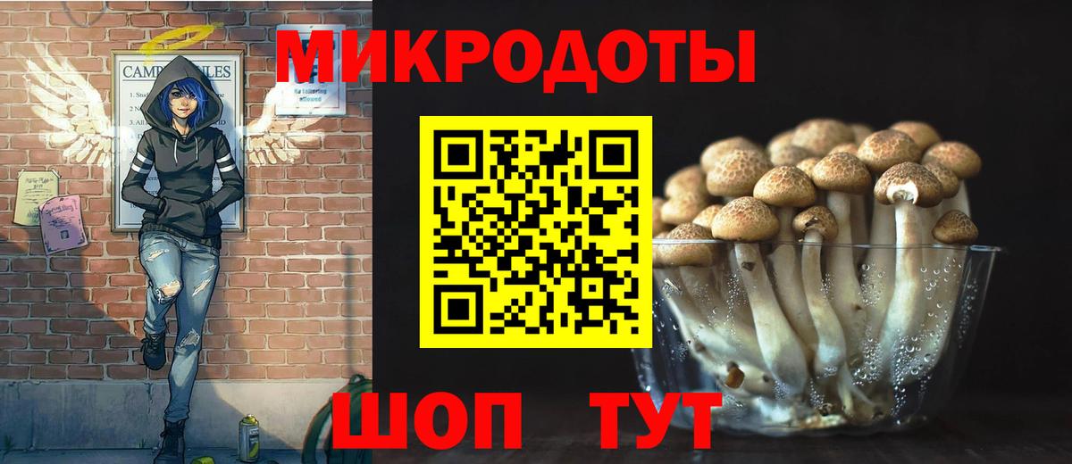 Псилоцибиновые грибы Psilocybe Кириши