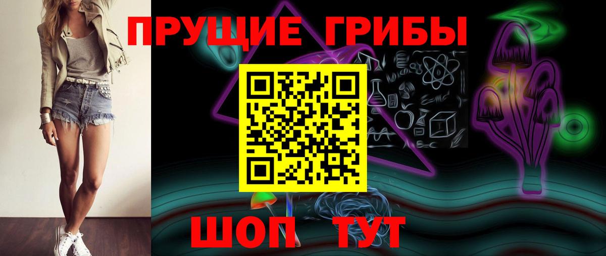 купить наркотики цена  Кириши  Псилоцибиновые грибы Cubensis 